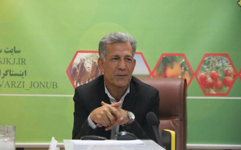 جابجایی پاجوش خرما در جنوب کرمان بدون هماهنگی ممنوع است